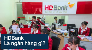 Read more about the article HDBank là ngân hàng gì? Có tốt và uy tín không? 3 phương thức liên hệ
