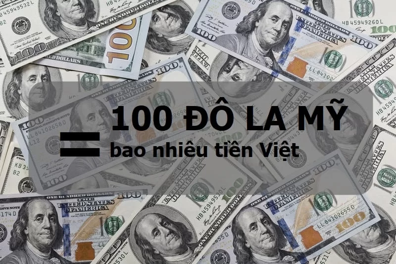Read more about the article 100 đô Mỹ bằng bao nhiêu tiền Việt? Tỷ giá hôm nay?
