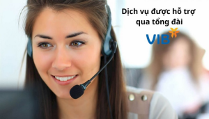 Read more about the article Tổng Đài VIB 24/7  – Hotline CSKH Ngân Hàng VIB